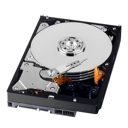 Western Digital GreenPower 500GB WD500AVDS